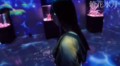 FC2PPV-4566520傳奇美女S醬私服初水族館